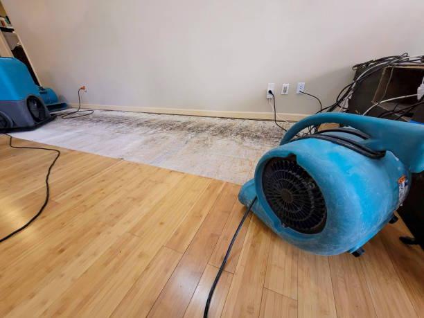 Professional Emergency Water Damage technician working in Yarmouth Port, MA